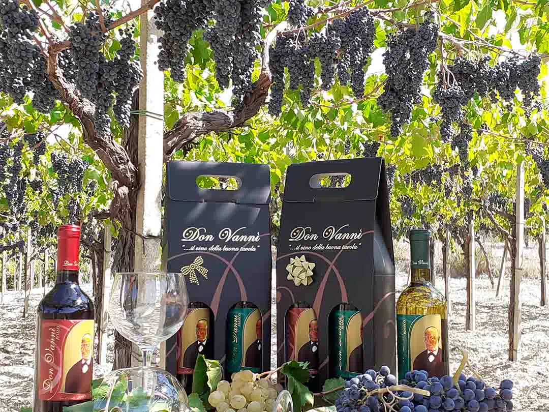 Don Vanni Vino